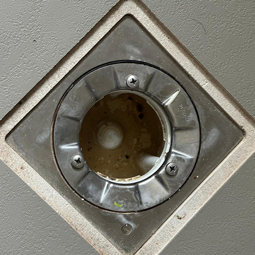 09